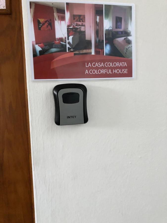 La Casa Colorata Lägenhet Pisa Exteriör bild